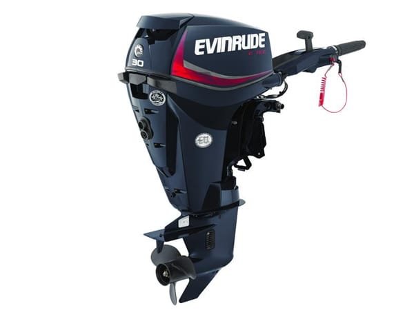 2018 Evinrude E-TEC 30 HP E30DRGL Outboard Motor 1 2018 Evinrude E-TEC 30 HP E30DRGL Outboard Motor